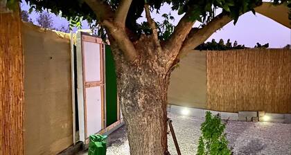 Nefeli's Dollhouse Caravan 3 minutes from Geroskipou Beach