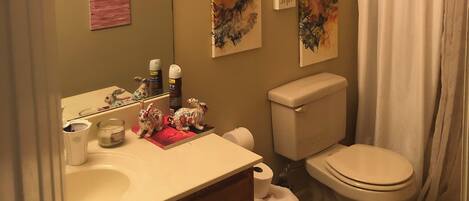 Hårtork, handdukar, tvål och schampo