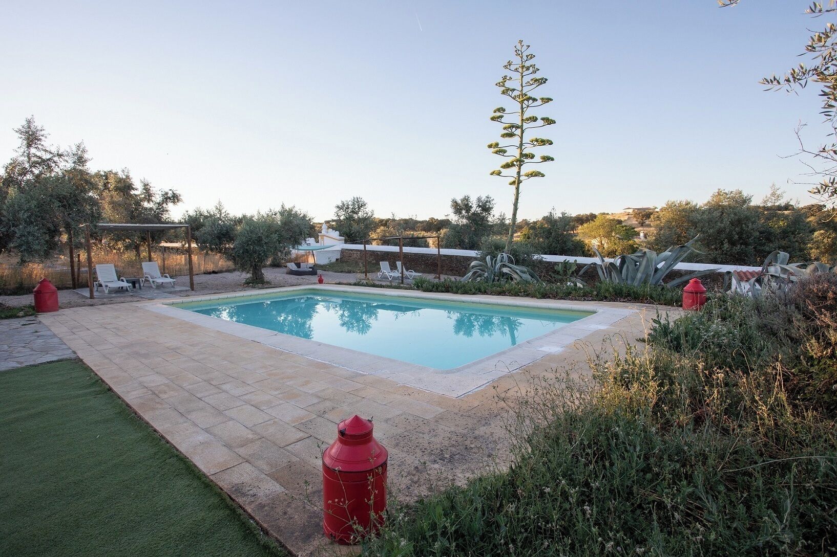 A rectangular swimming pool with a tiled deck, surrounded by a grassy area and some plants.