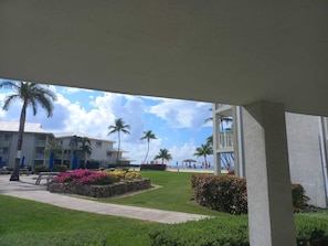 A hotel with a covered outdoor area, palm trees, and a view of the beach.