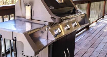 307 ch. Lac-Dion, Saint-Damien