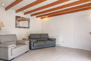 A room with two sofas, a radiator, and a door.