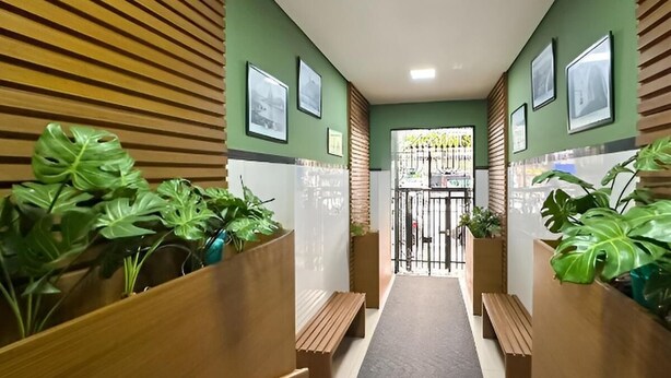 Un pasillo con bancos de madera y plantas en macetas, flanqueado por paredes verdes y cuadros enmarcados.