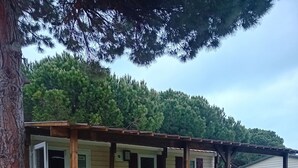 A small, single-story cabin with a wooden deck and a green carpeted porch.