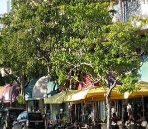 Patrons enjoy outdoor seating areas amidst urban surroundings.