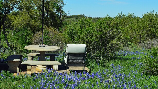 Un espacio al aire libre con mesa y sillas, rodeado de un campo de flores azules.