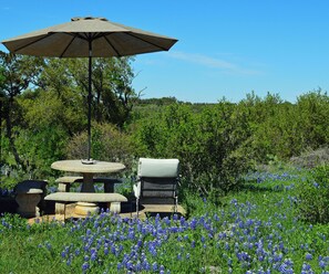 Un espacio al aire libre con mesa y sillas, rodeado de un campo de flores azules.