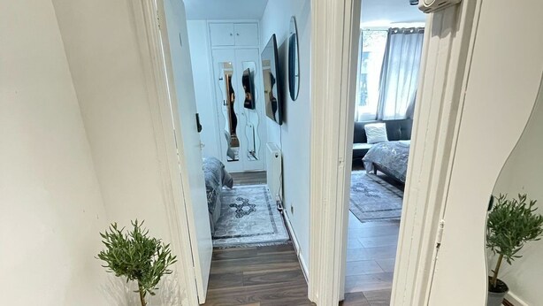 A hallway with a wooden floor, a black furry rug, and a potted plant on the left.
