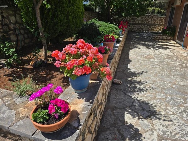 A stone pathway lined with potted plants and flowers. - Amarandos INN (Lefkada)