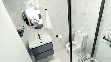 Shower, hair dryer, bidet, towels