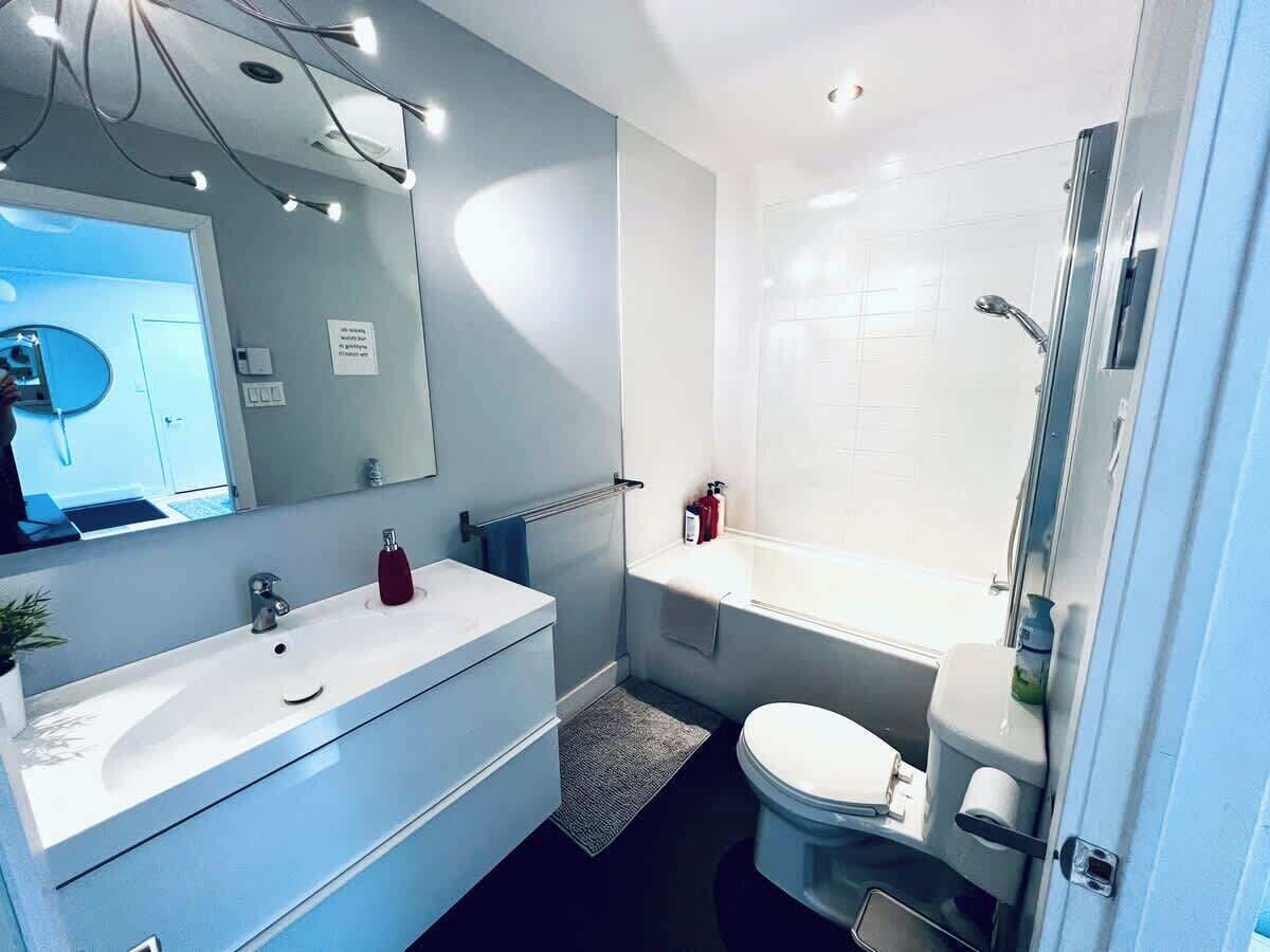Shower, hair dryer, shampoo