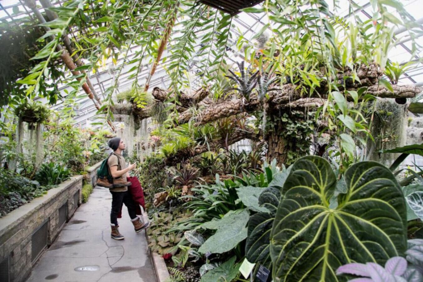 Área da propriedade