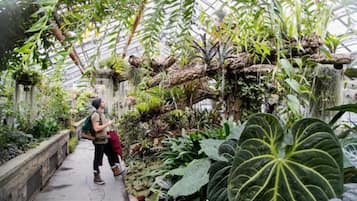 Área da propriedade