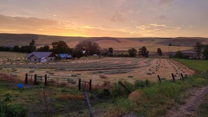 A rural landscape with fields, a farmhouse, and rolling hills. - 8 Mile Farm B&B (The Dalles)