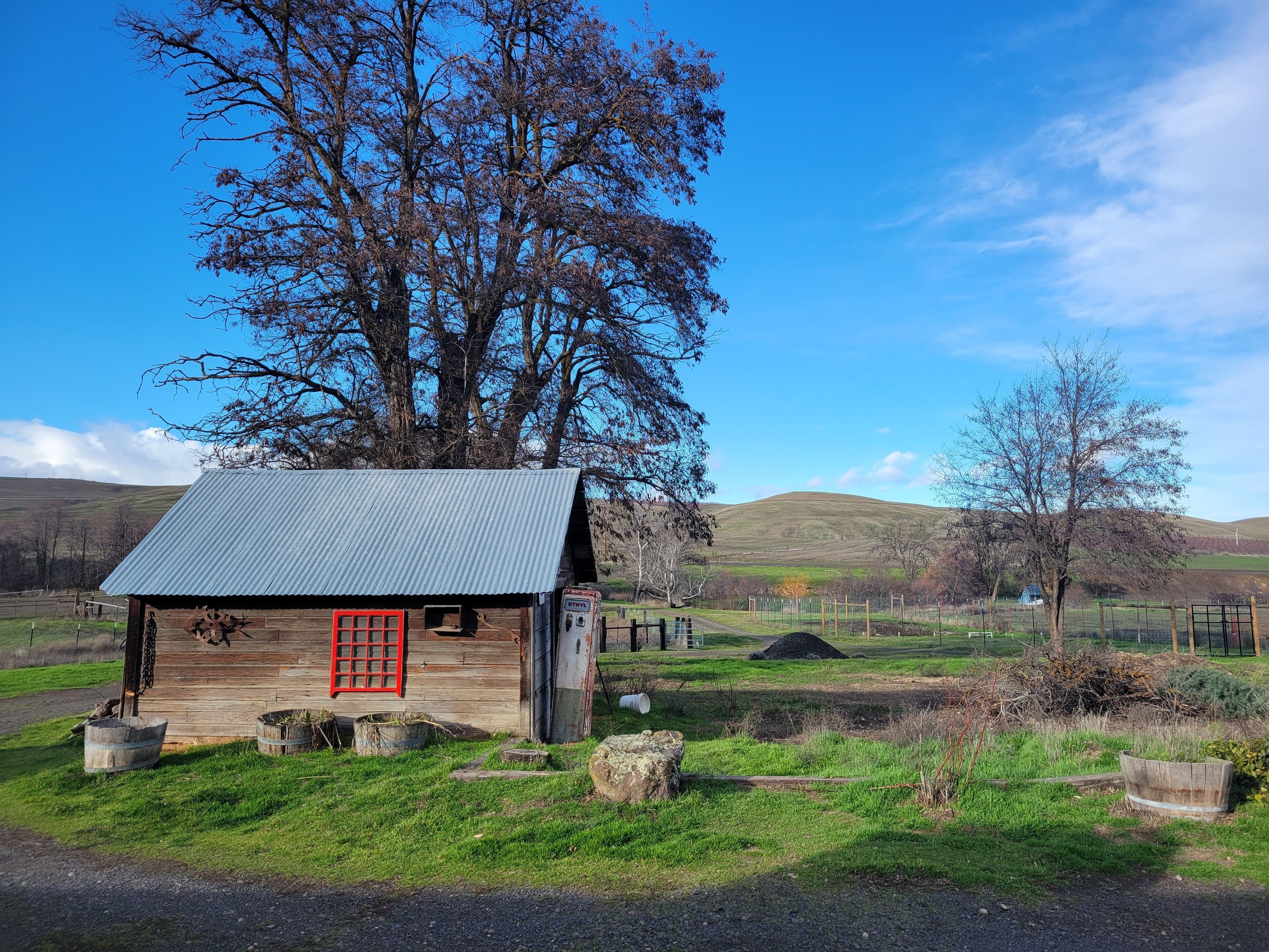 Eine rustikale Holzhütte mit roter Tür, umgeben von einer eingezäunten Weide und einem großen Baum.