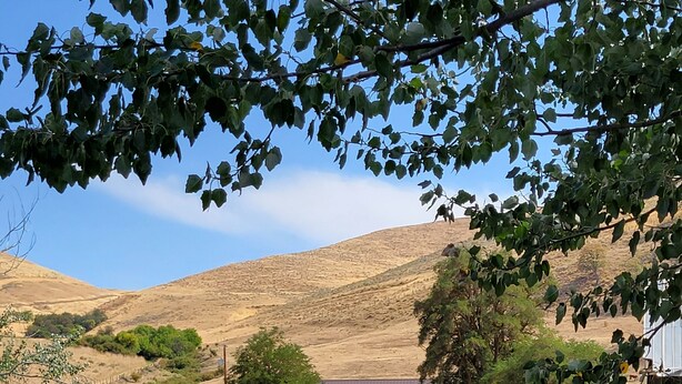 A rural landscape with a gravel path leading to a red barn and a small blue structure, surrounded by hills and sparse vegetation. - 8 Mile Farm B&B (The Dalles)