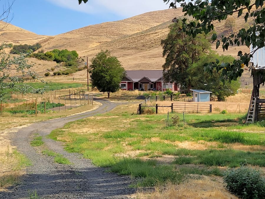 Área da propriedade