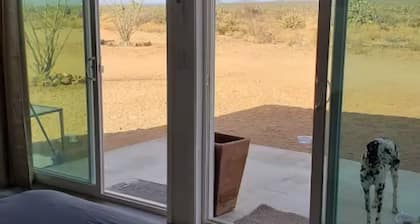 Tiny home in Joshua Tree Forest