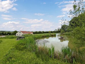 Área da propriedade