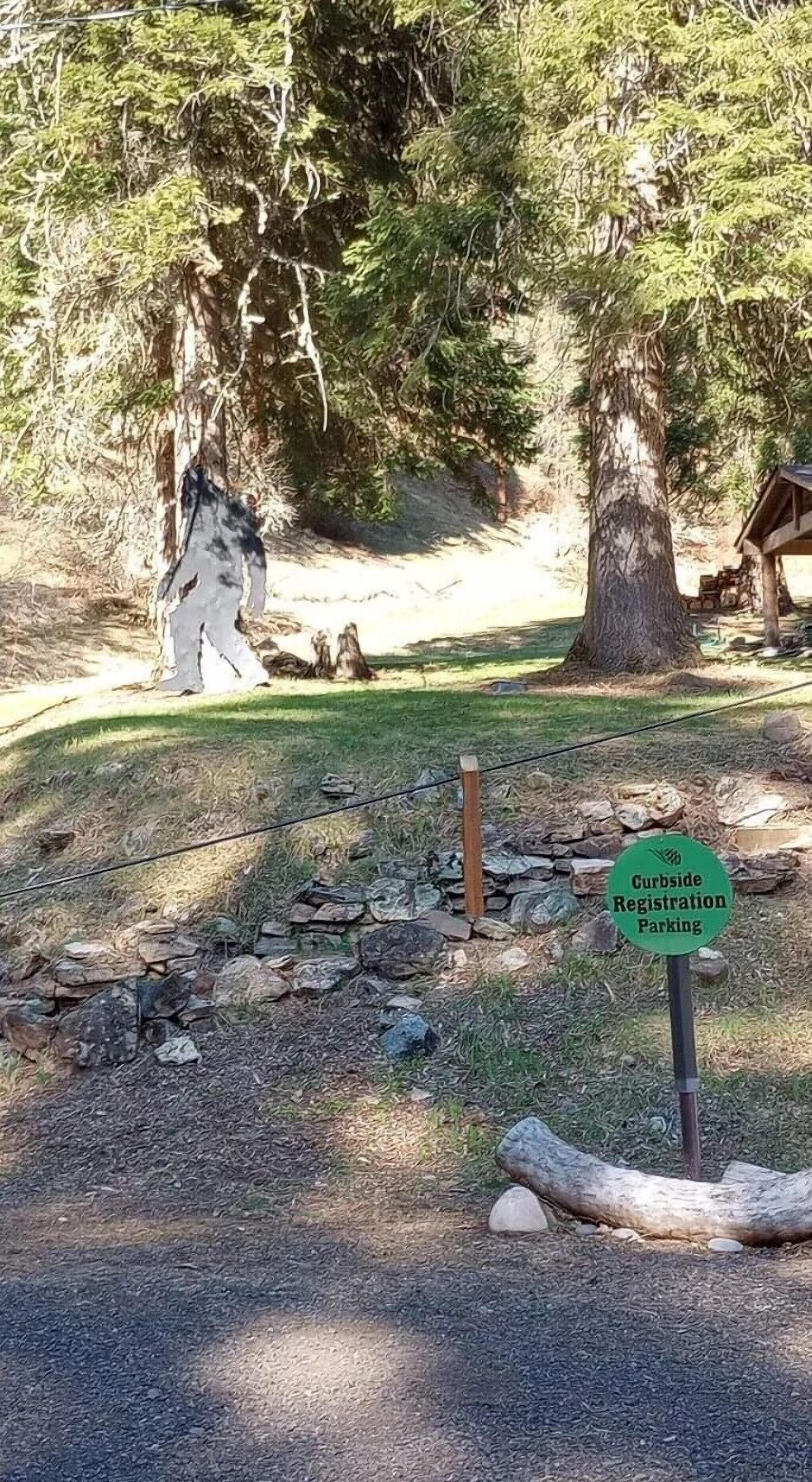 A sign for Curbside Registration Parking in a wooded area with a dirt path and a wooden structure in the background.
