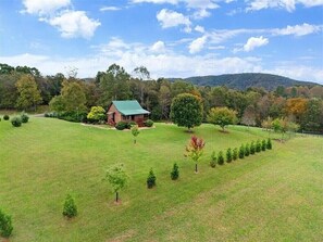 Property grounds - Bilbo Baggins New River Cabin. A charming escape inspired by the Shire. (Max Meadows)