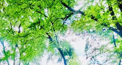 Waterfront Home Directly On Lake Tawakoni