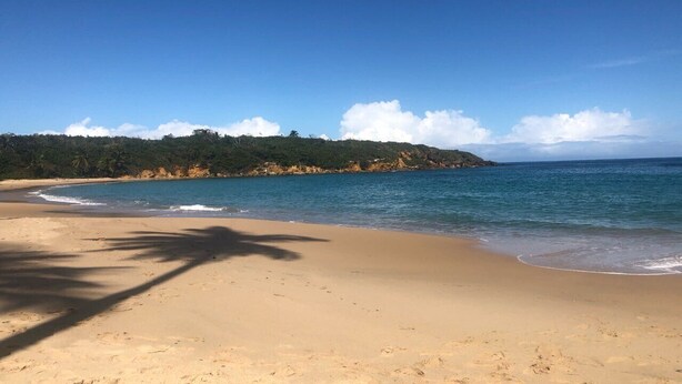 A beach with clear blue water, sandy shore, and a forested hill in the background. - Villa Haven Giovanni (Vega Alta)