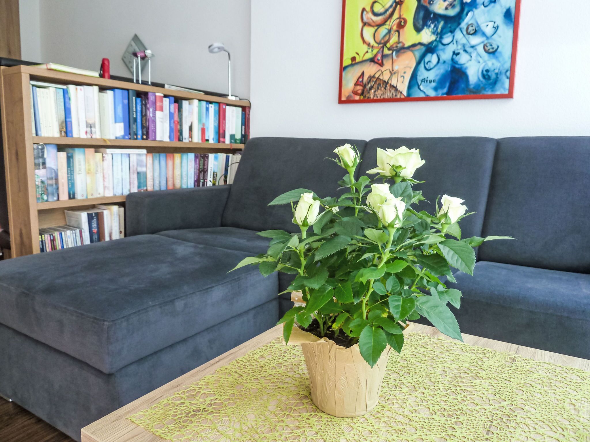 Un salon avec un canapé gris, une bibliothèque en bois et une plante en pot aux fleurs blanches, posée sur une table en osier.