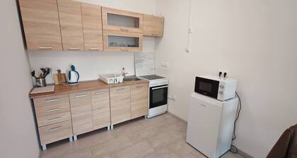 WorkStay Apartment – Modern Comfort with Private Parking, Near City Amenities