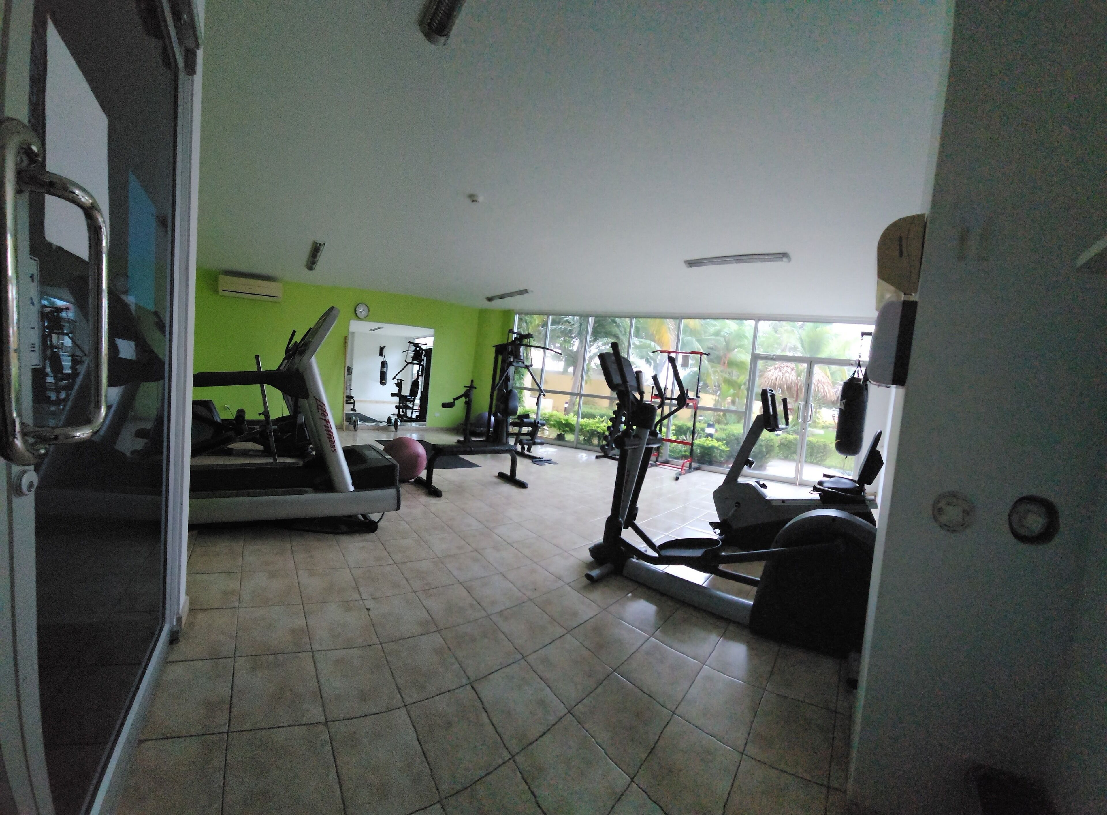 A gym with exercise equipment, a green wall, and large windows.