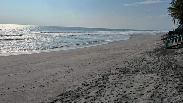 Una playa con huellas que conducen al agua, una palmera y una escalera a la derecha.