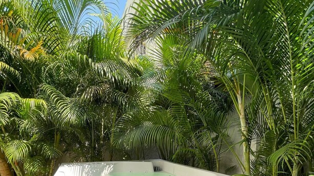 A hot tub surrounded by lush tropical plants, with a wooden bench in front. - Gallery Beach Home Jacuzzi Jacuzzi Hockey & Billiards (Cartagena de Indias)