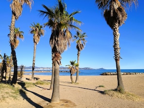 A beach with palm trees and a clear blue sky.