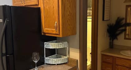 3 Bedroom Modern Luxe Condo Stevens Point with WiFi, AC
