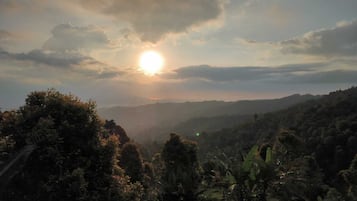 Vista desde la propiedad