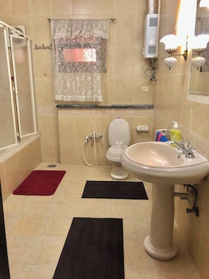 Hair dryer, bidet, towels, soap