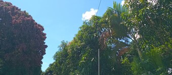 Room-tropical Oasis in Tonge, Fiji - Rel