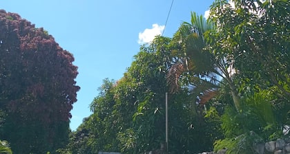 Room-tropical Oasis in Tonge, Fiji - Rel
