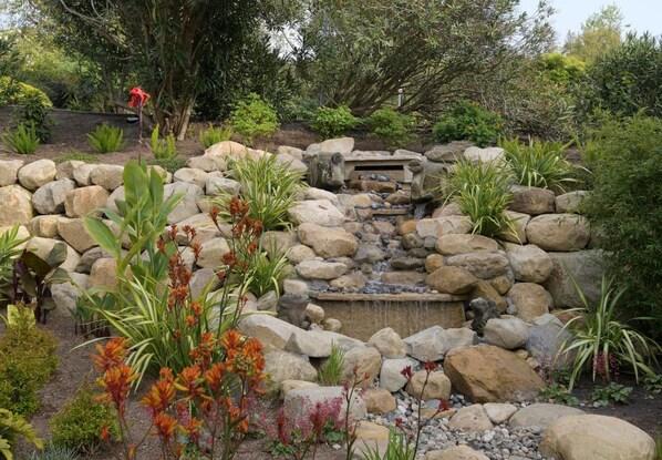 Un jardin agrémenté d’une cascade rocheuse, de différentes plantes et d’un petit étang.
