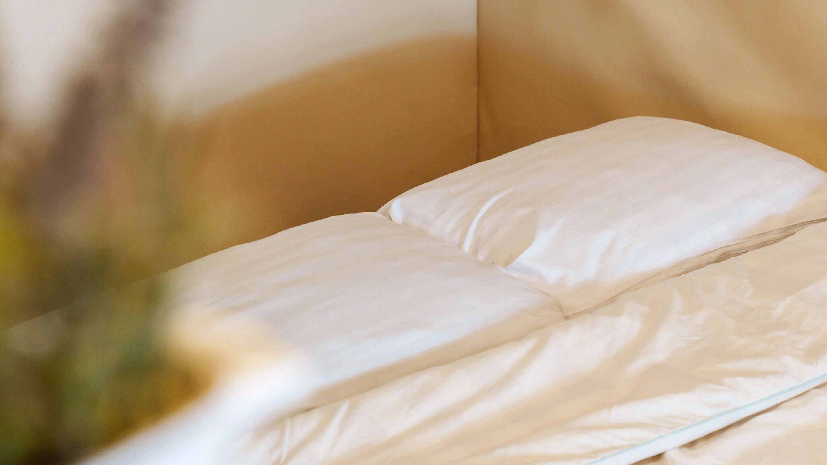 A neatly made bed with white linens in a room with a beige wall and a wooden headboard.