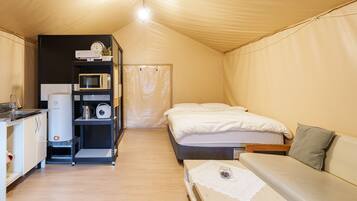 A compact room with a bed, a sofa, a kitchenette, and a shower area.