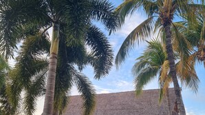 Property grounds - Luxury Condo ALAMAR, Riviera Nayarit. Mexico (Cruz de Huanacaxtle)