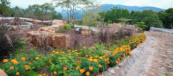 BlueHill Lotus Holistic Wellness Village