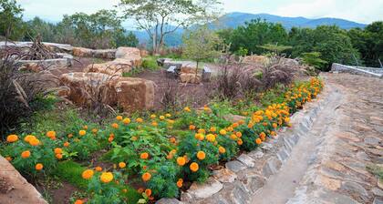 BlueHill Lotus Holistic Wellness Village
