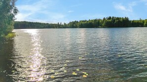 Un lac paisible aux eaux limpides, entouré d’une forêt dense et surplombé d’un ciel dégagé.