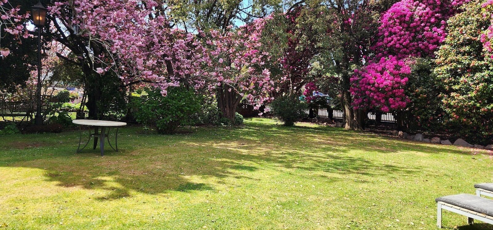 A garden with a table and benches, surrounded by flowering trees.