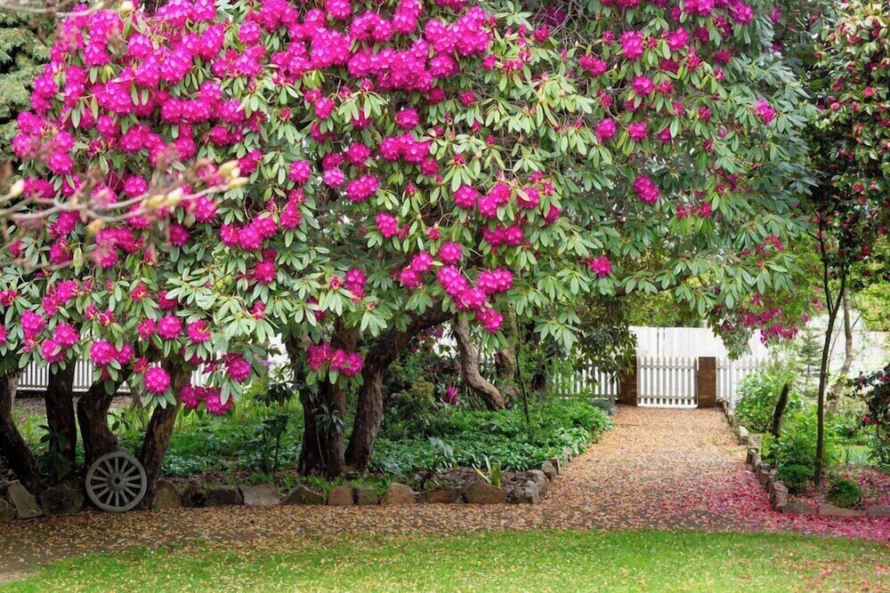 Anabel's of Scottsdale by null