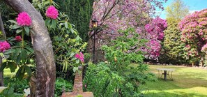 Exterior - Anabel's of Scottsdale (Scottsdale)