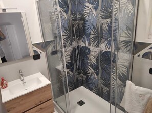 Shower, hair dryer, bidet, towels