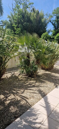 Maison individuelle entourée de verdure à Bayonne 64